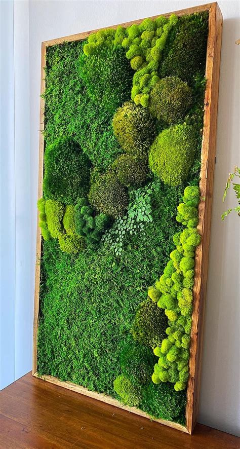 etsy moss art|outdoor moss wall art.